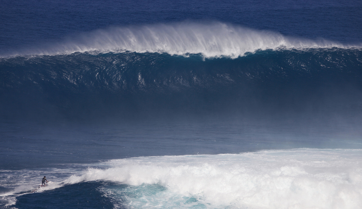 Photo: @ShannonReporting @TheGoBigProject 
