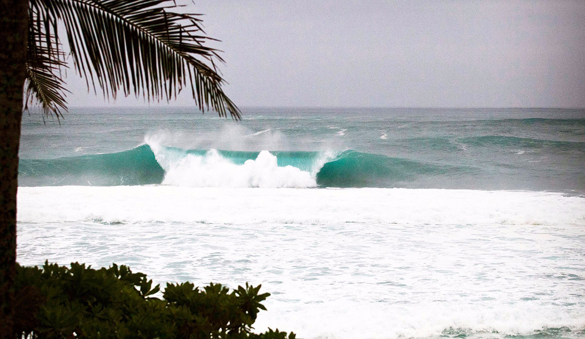 Photo:<a href=\"https://www.juanbacagianis.com/\">Juan Bacagianis</a>