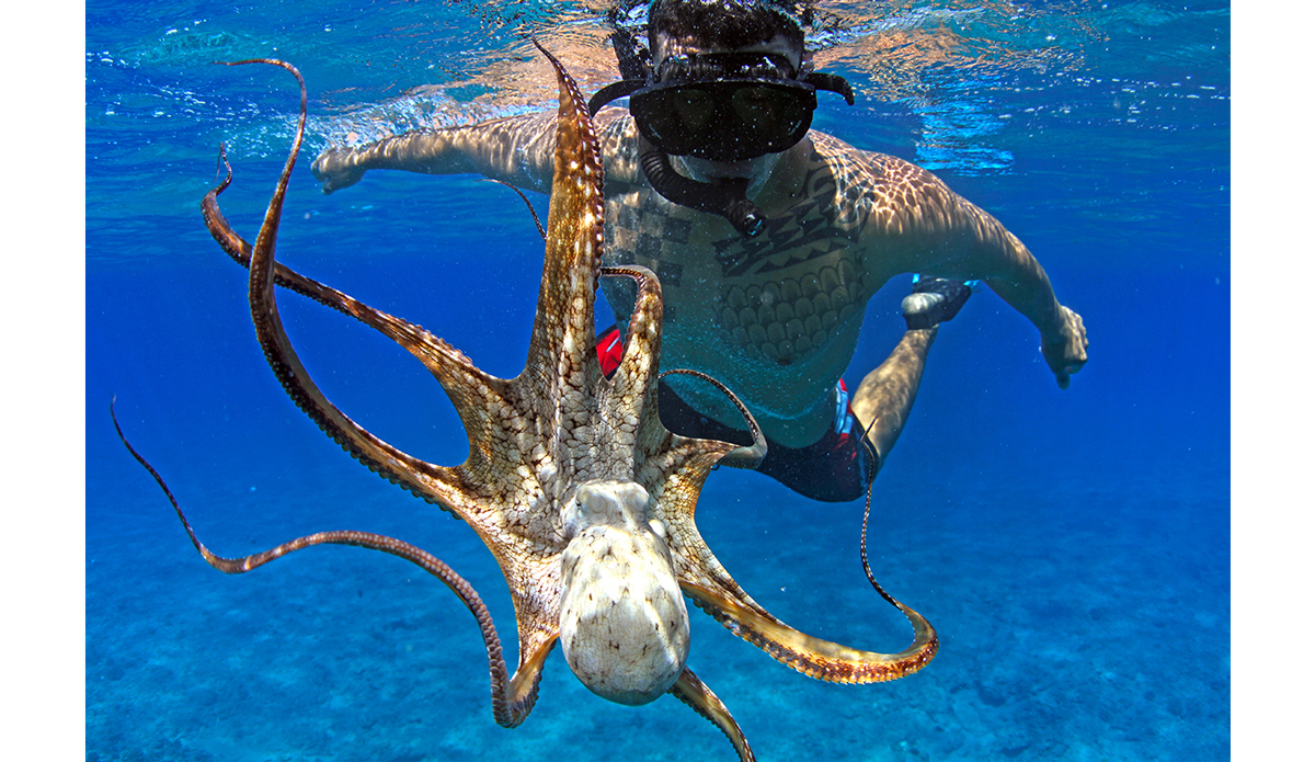 I really love capturing the lifestyle of Hawaii…here\'s my good friend Henry Greenspan playing with an octopus, or tako, as we like to call them. Photo: <a href=\"https://instagram.com/manaphotohawaii\">Mana Photo Hawaii</a>