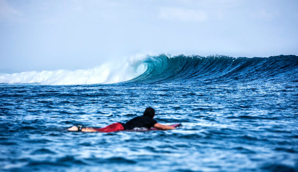 Photo: <a href=\"https://Instagram.com/jennaaddesso\">Jenna Addesso</a>