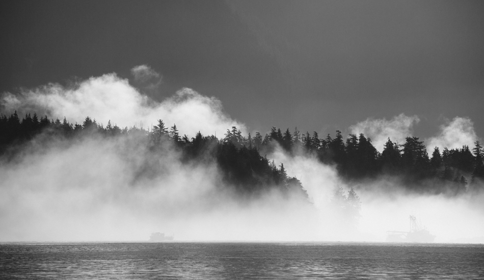 Boats in the Tofino harbor on a foggy summer morning. Photo: <a href=\"https://www.jeremykoreski.com/NEW-WORK/AOTEAROA/1/\">Jeremy Koreski</a>