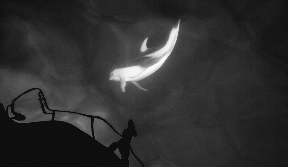 This is an image I took while standing on the bow of a boat as a Pacific White-sided dolphin swam beneath. Photo: <a href=\"https://www.jeremykoreski.com/NEW-WORK/AOTEAROA/1/\">Jeremy Koreski</a>