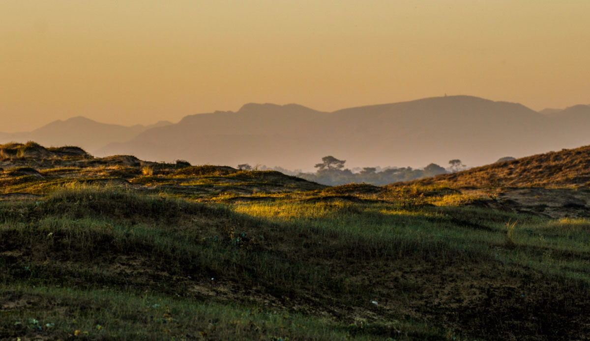 Photo: <a href=\"https://www.jeromechobeaux.fr/\">Jerome Chobeaux Photographe</a>