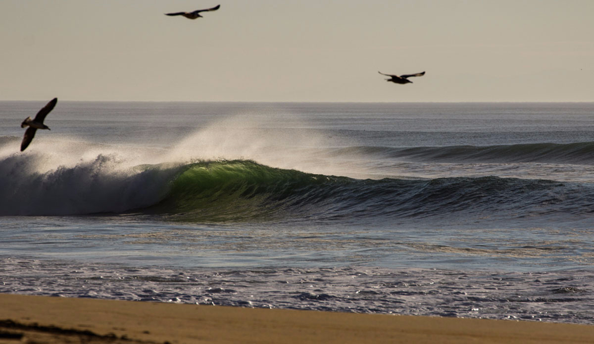 Photo: <a href=\"https://www.jeromechobeaux.fr/\">Jerome Chobeaux Photographe</a>