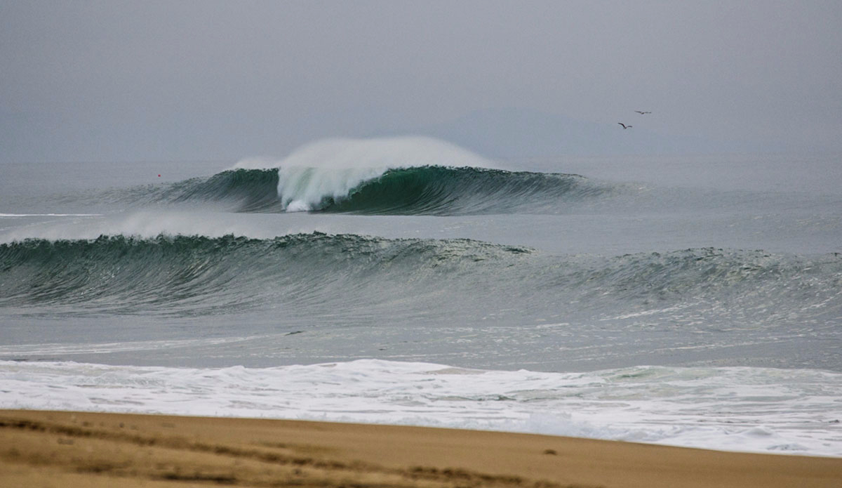 Photo: <a href=\"https://www.jeromechobeaux.fr/\">Jerome Chobeaux Photographe</a>