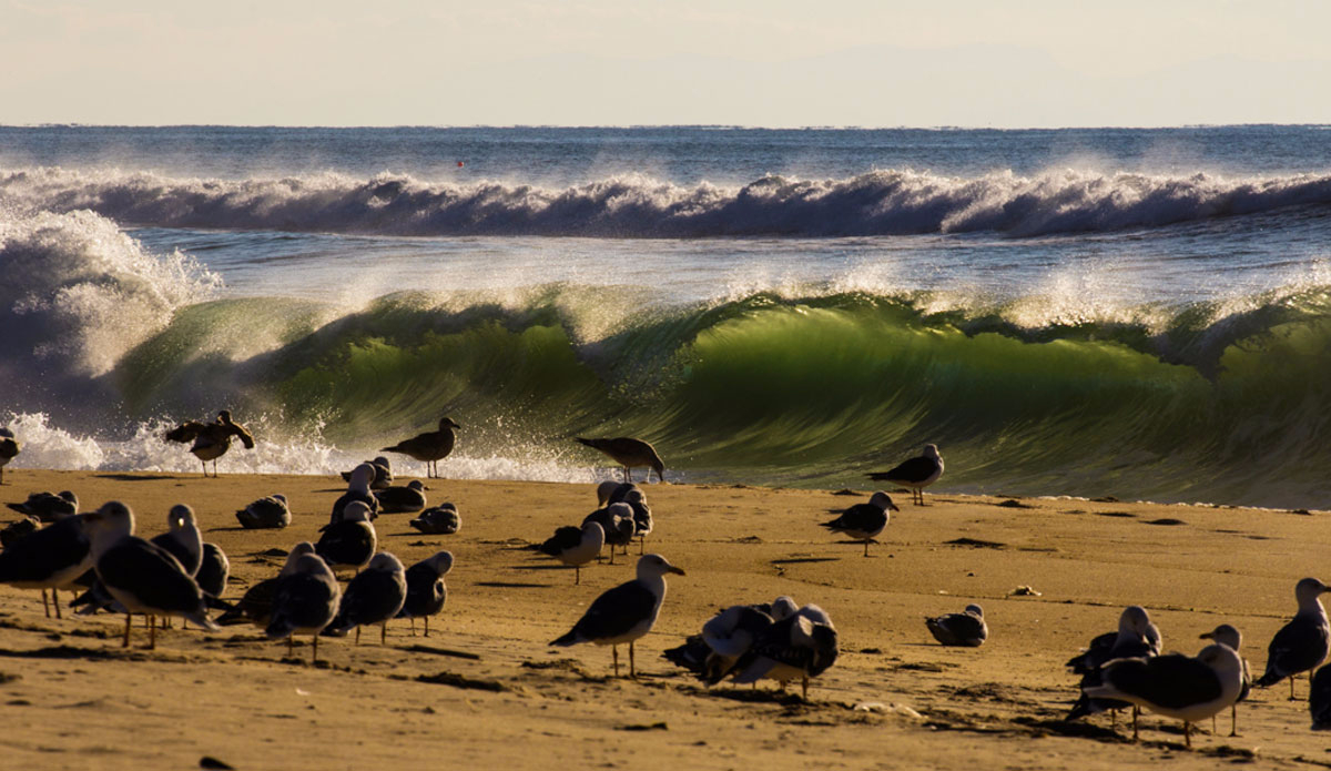 Photo: <a href=\"https://www.jeromechobeaux.fr/\">Jerome Chobeaux Photographe</a>