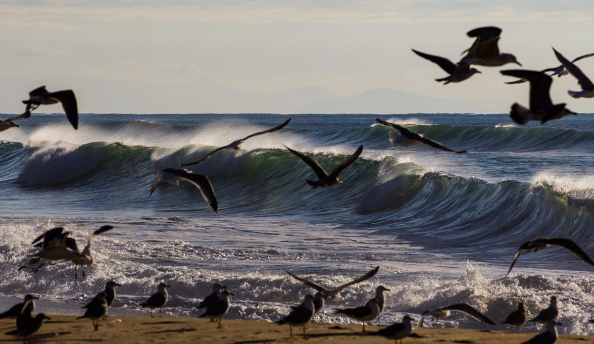 Photo: <a href=\"https://www.jeromechobeaux.fr/\">Jerome Chobeaux Photographe</a>