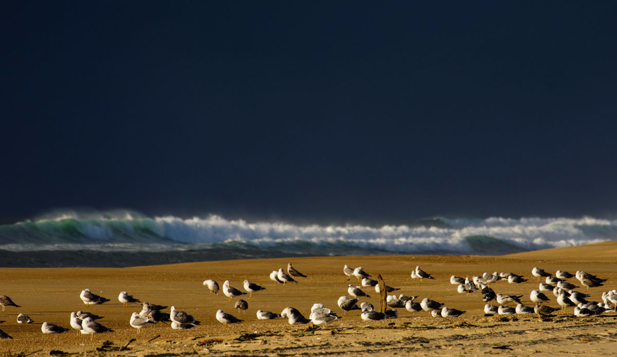 Photo: <a href=\"https://www.jeromechobeaux.fr/\">Jerome Chobeaux Photographe</a>