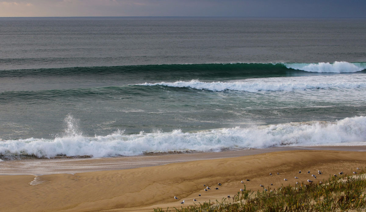 Photo: <a href=\"https://www.jeromechobeaux.fr/\">Jerome Chobeaux Photographe</a>