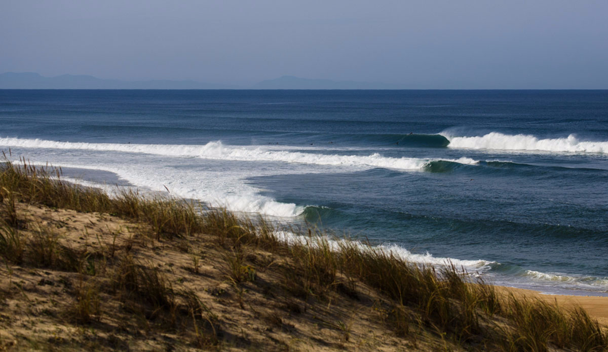 Photo: <a href=\"https://www.jeromechobeaux.fr/\">Jerome Chobeaux Photographe</a>