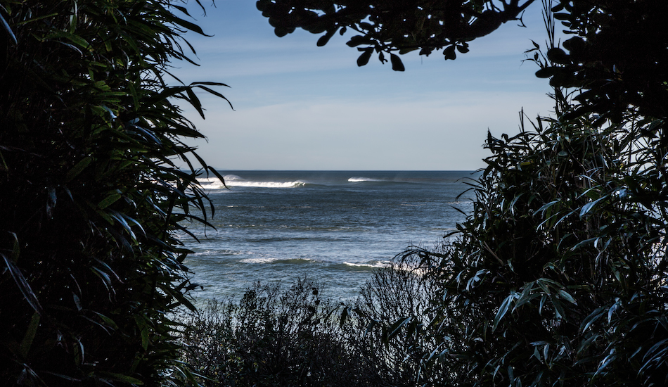 Through the trees in Northern Basque Country. Photo: <a href=\"https://www.jeromechobeaux.fr\">Jerome Chobeaux</a>