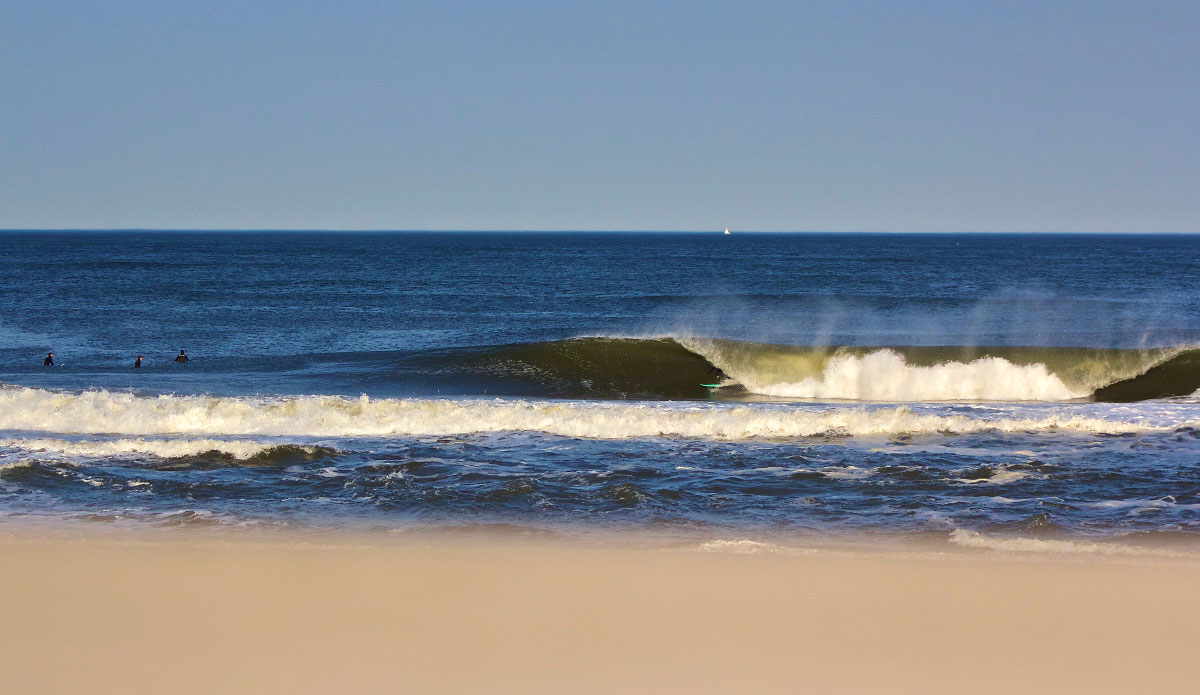 Photo:<a href=\"https://www.stevecolemanphoto.com/\" target=\"_blank\">Steve Coleman</a>\"