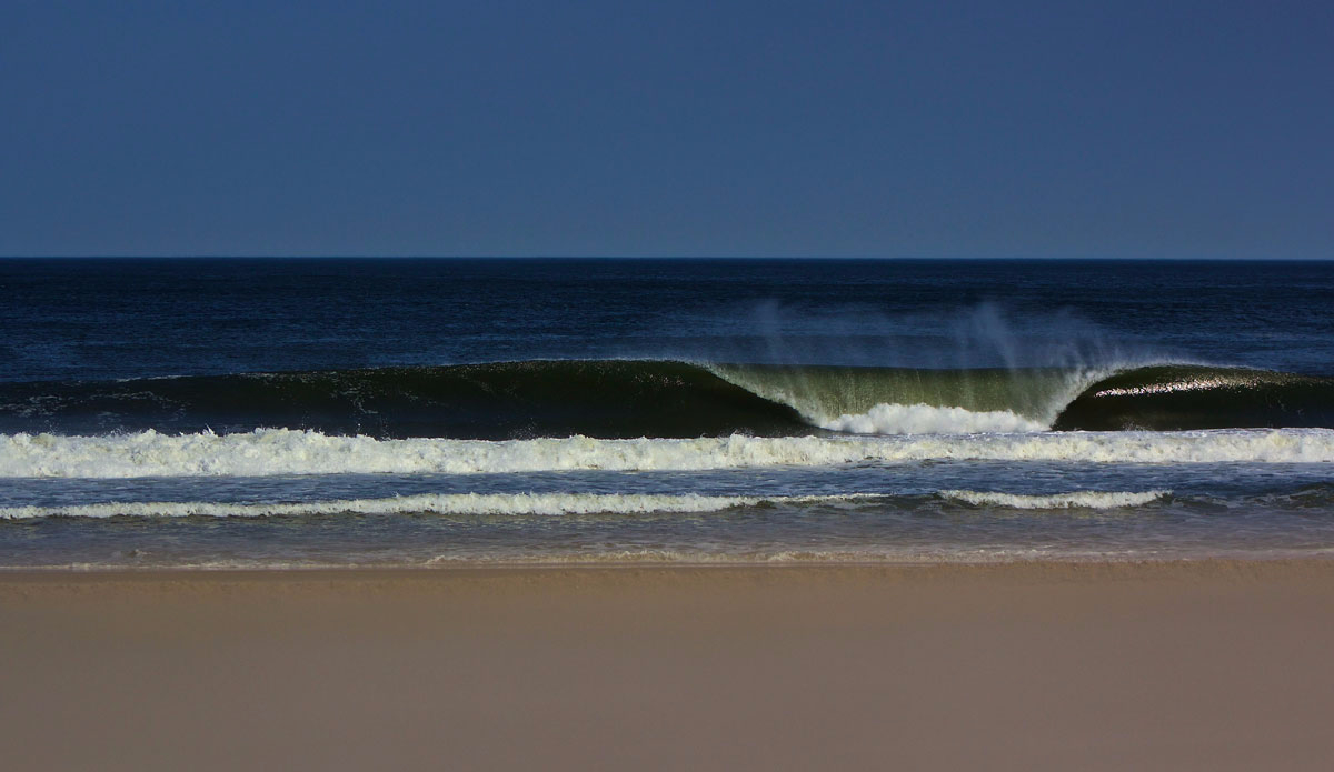 Photo:<a href=\"https://www.stevecolemanphoto.com/\" target=\"_blank\">Steve Coleman</a>\"