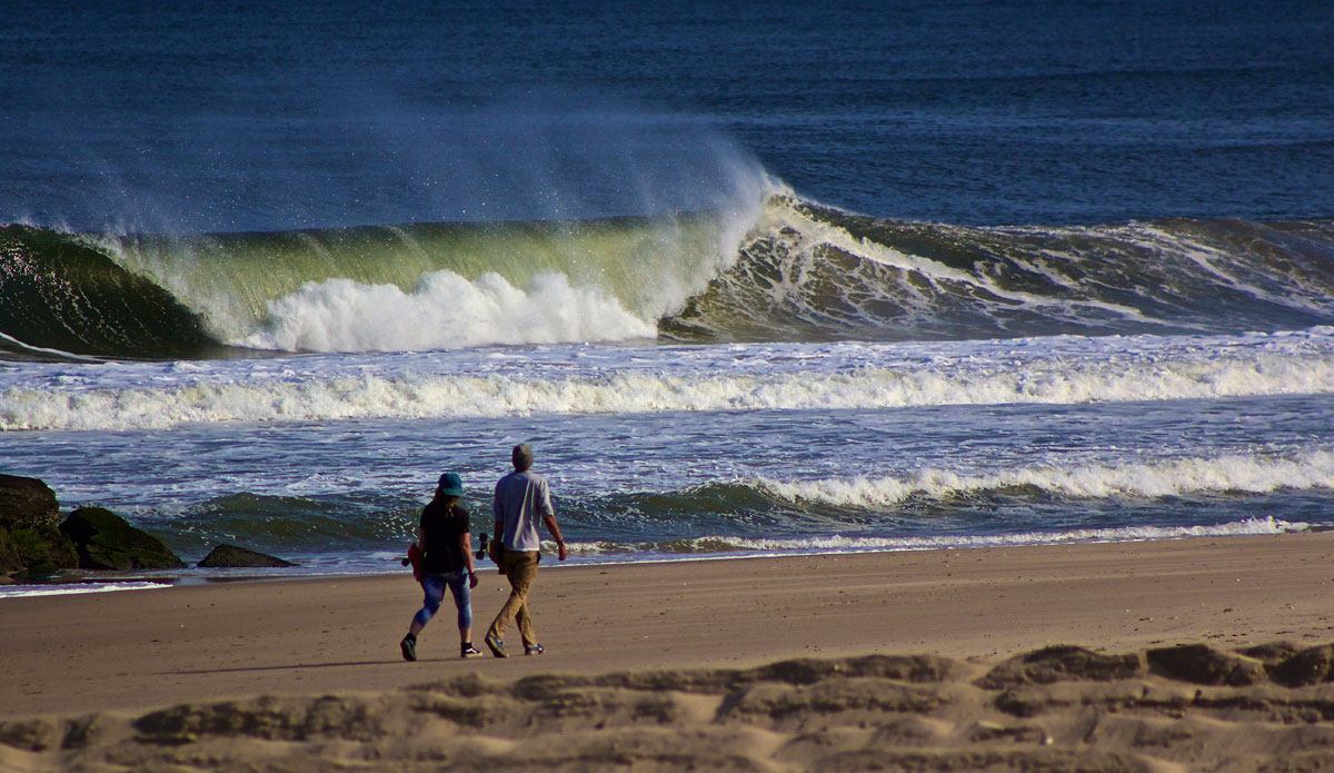 Photo:<a href=\"https://www.stevecolemanphoto.com/\" target=\"_blank\">Steve Coleman</a>\"