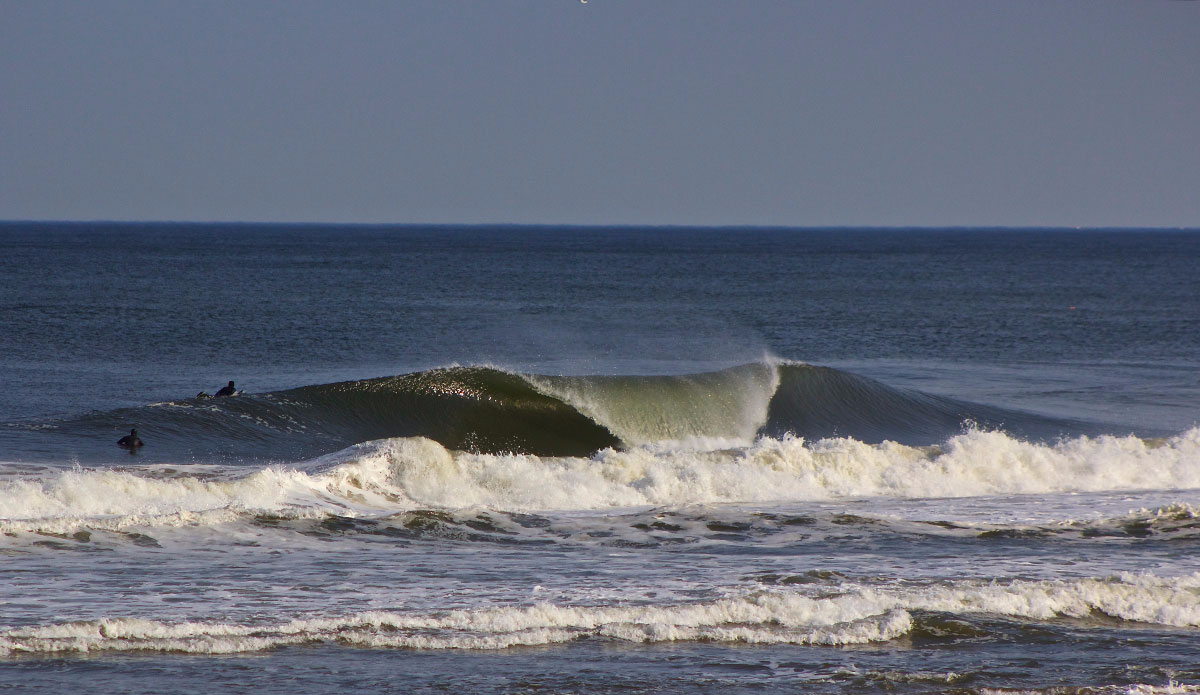 Photo:<a href=\"https://www.stevecolemanphoto.com/\" target=\"_blank\">Steve Coleman</a>\"