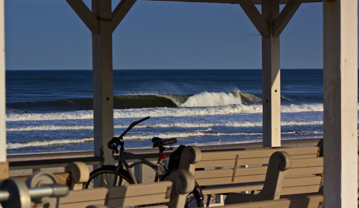 Photo:<a href=\"https://www.stevecolemanphoto.com/\" target=\"_blank\">Steve Coleman</a>\"