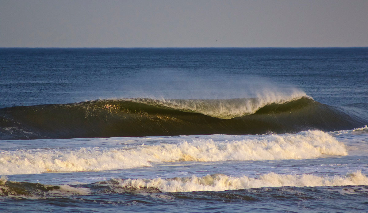 Photo:<a href=\"https://www.stevecolemanphoto.com/\" target=\"_blank\">Steve Coleman</a>\"