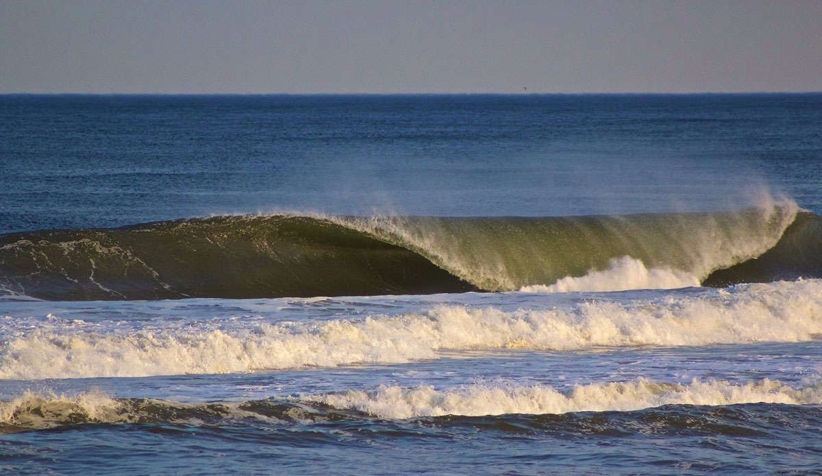 Photo:<a href=\"https://www.stevecolemanphoto.com/\" target=\"_blank\">Steve Coleman</a>\"