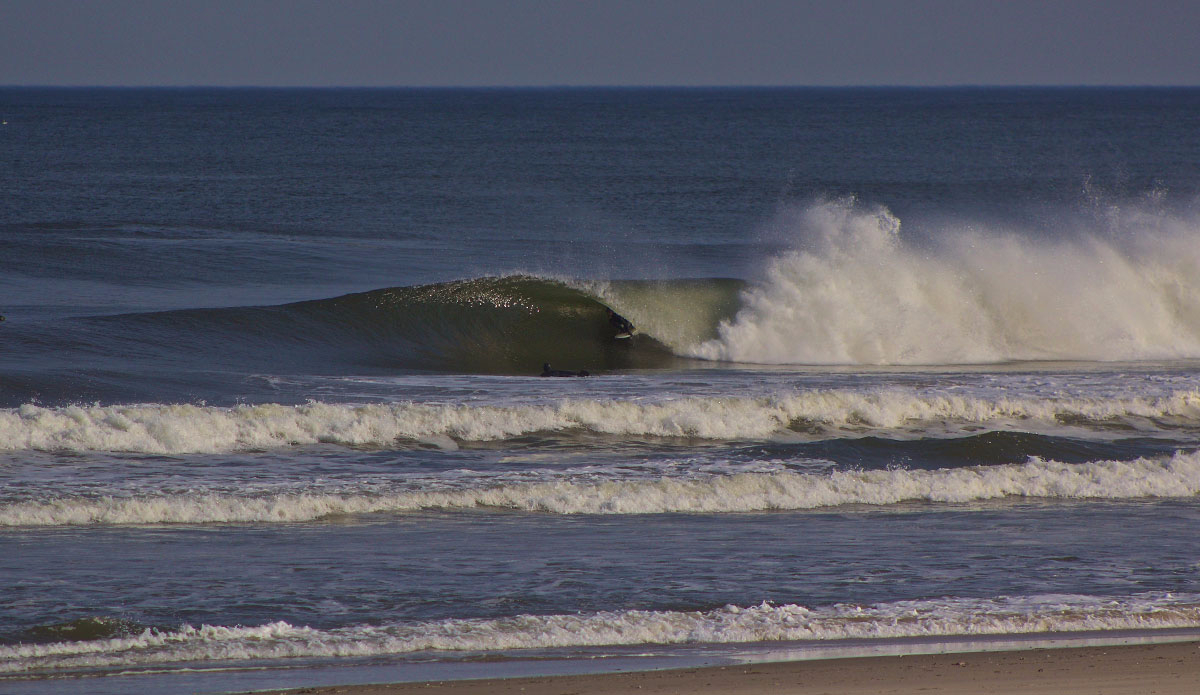 Photo:<a href=\"https://www.stevecolemanphoto.com/\" target=\"_blank\">Steve Coleman</a>\"