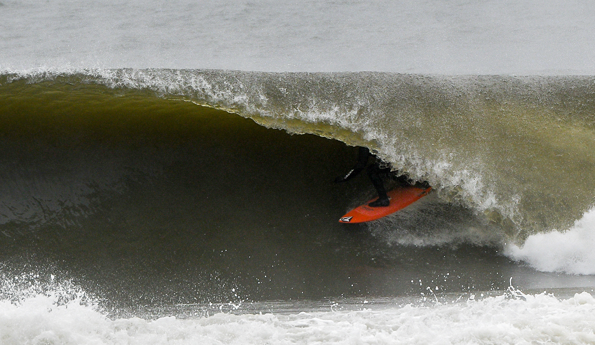 Mike Gleason. Photo: Tim Torchia