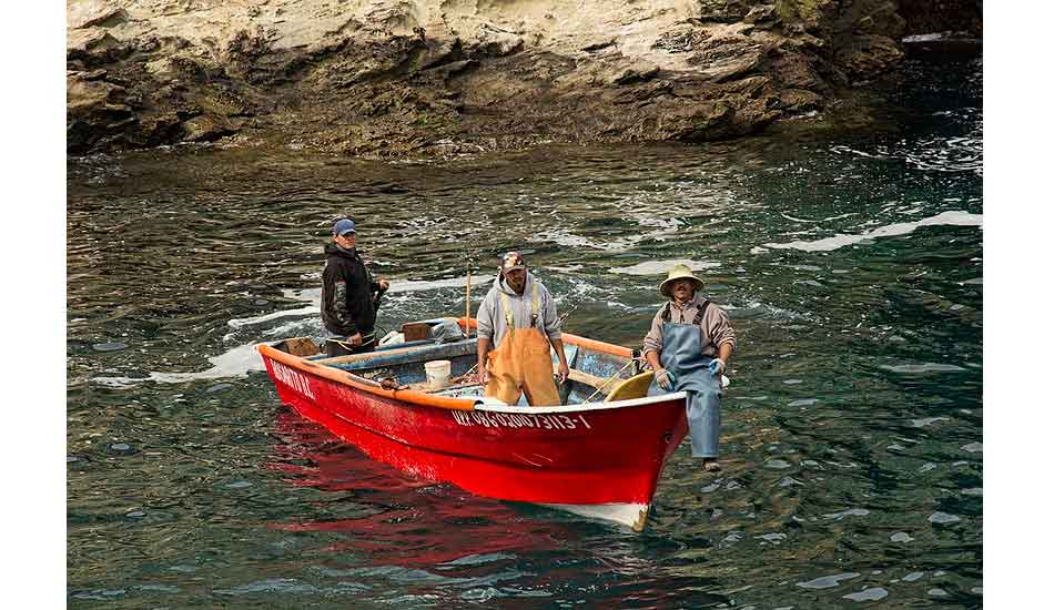 Photo: Derren Ohanian