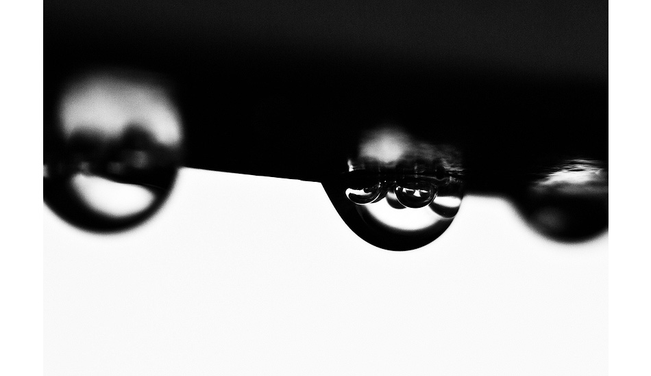 Water world/100mm/F8-macro. Photo: <a href=\"https://jimages.co.nz/\">Jim Culley</a>