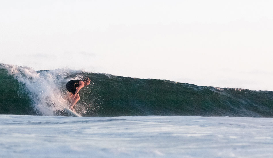Getting loggular at low tide - Newport Beach. Photo: <a href=\"https://jimjims.net/\" target=_blank>James Pham</a>.