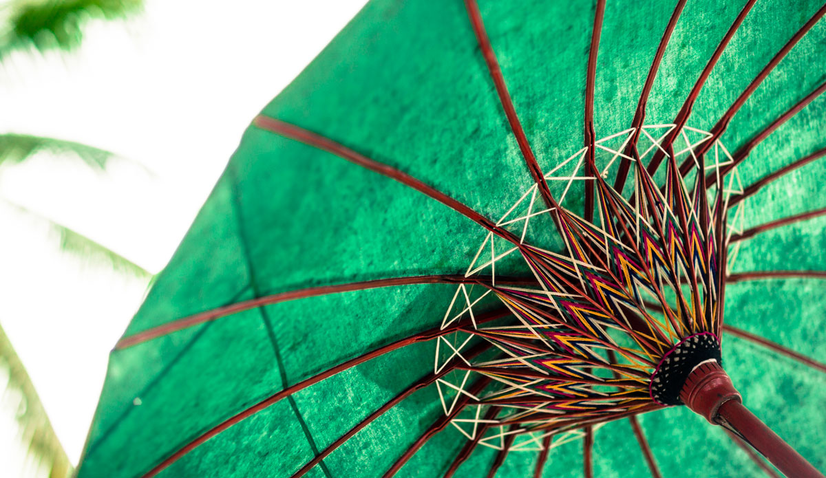 Photo: <a href=\"https://www.jojofoto.com/\"> Joanna Miriam</a>