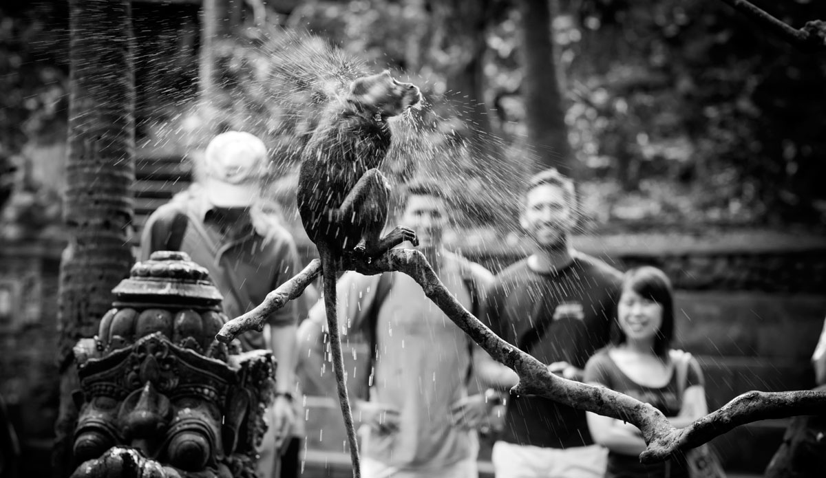 Photo: <a href=\"https://www.jojofoto.com/\"> Joanna Miriam</a>