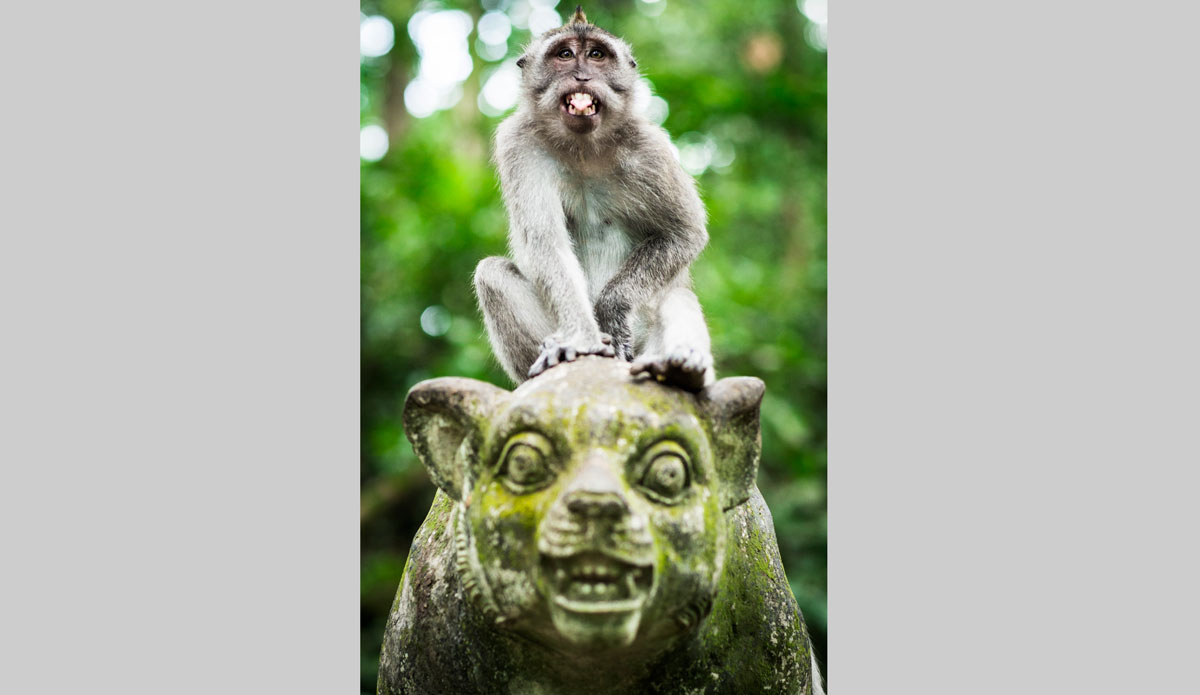 Photo: <a href=\"https://www.jojofoto.com/\"> Joanna Miriam</a>