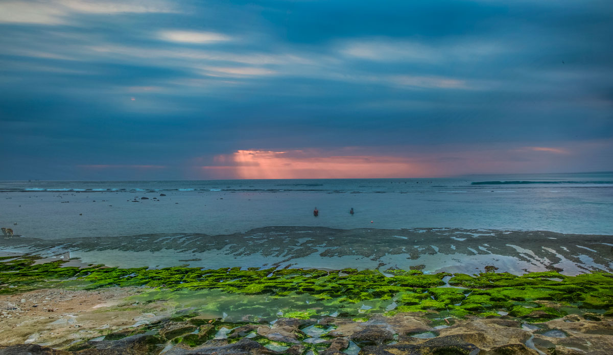 Photo: <a href=\"https://www.jojofoto.com/\"> Joanna Miriam</a>