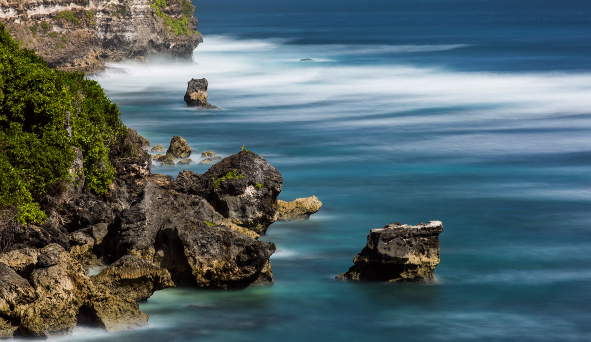 Photo: <a href=\"https://www.jojofoto.com/\"> Joanna Miriam</a>