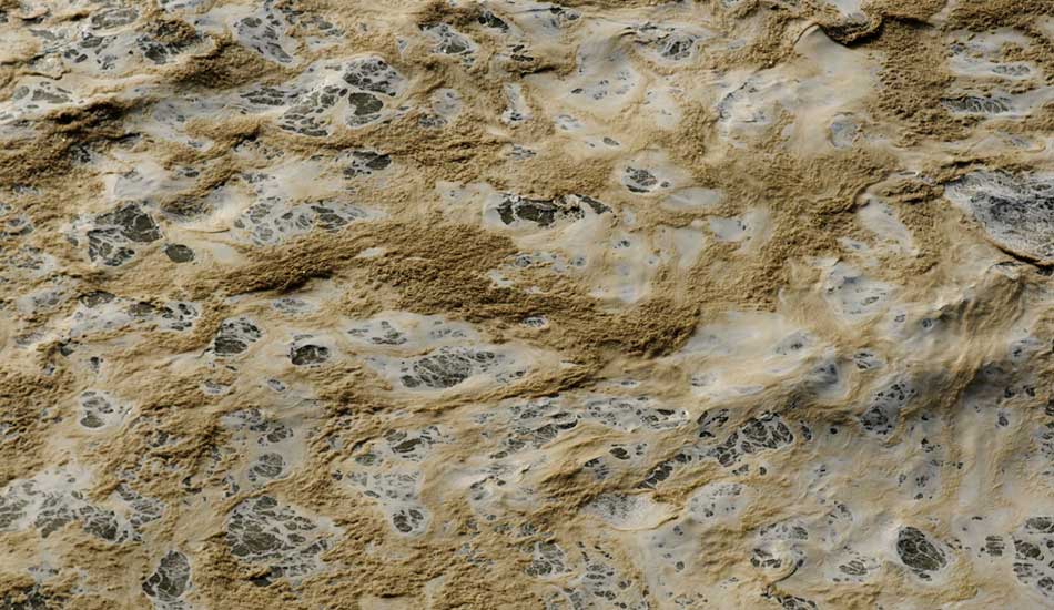 Whitewash. Photo: <a href= \"https://joaobracourt.com/\" target=_blank>Joao Bracourt.</a>