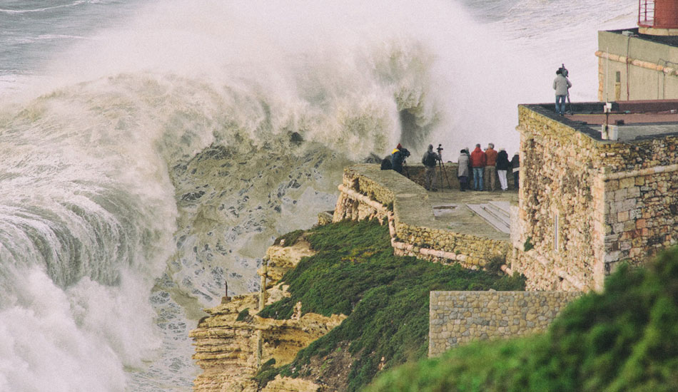 Brigid was smaller than Hercules but still temperamental. Photo: <a href= \"https://joaobracourt.com/\" target=_blank>Joao Bracourt.</a>
