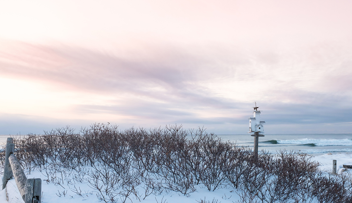 For the birds. Photo: <a href=\"https://instagram.com/joecarter25\">Joe Carter</a>