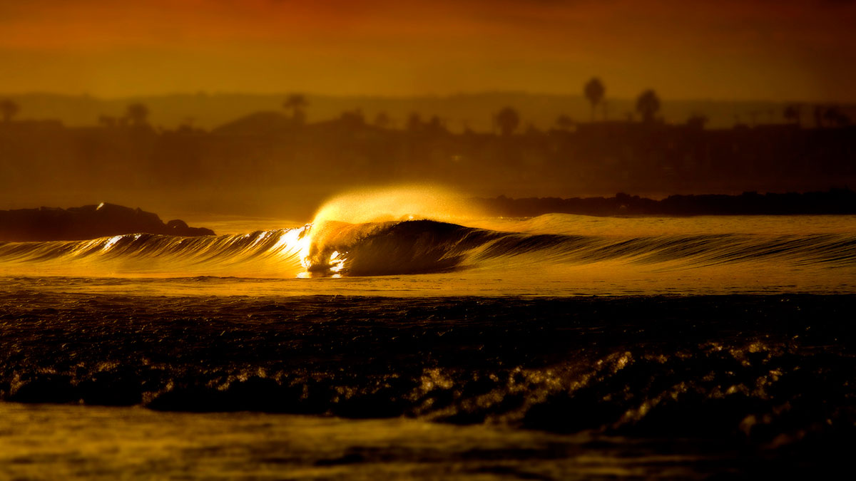 Newps. Photo: <a href=\"https://aladdinsurfmag.net/\"> Foster </a>