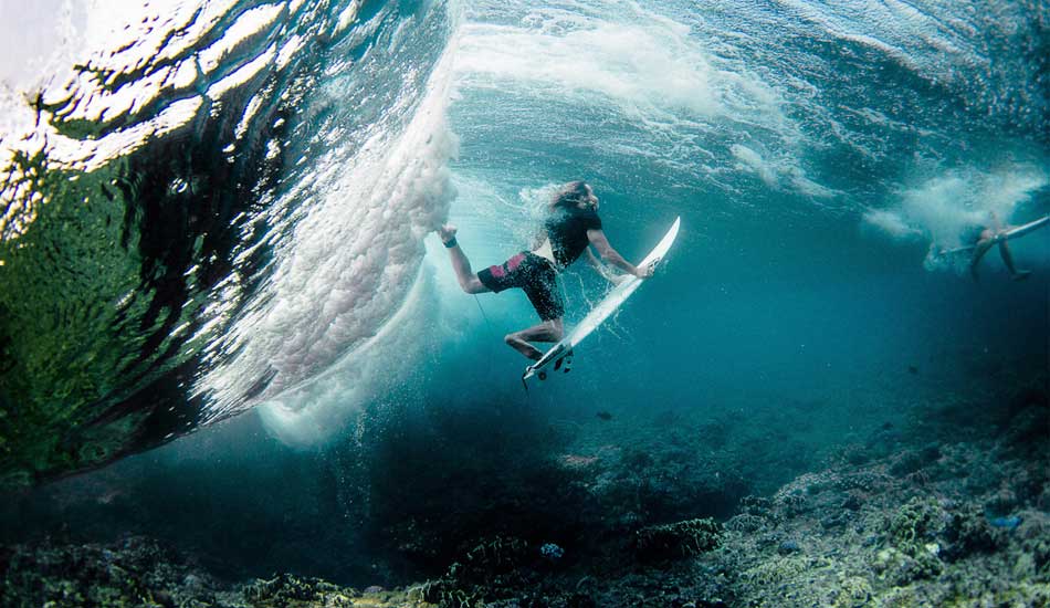 A moment of clarity amidst the chaos. Photo: <a href=\"https://johnbarton.net.au/\">John Barton</a>