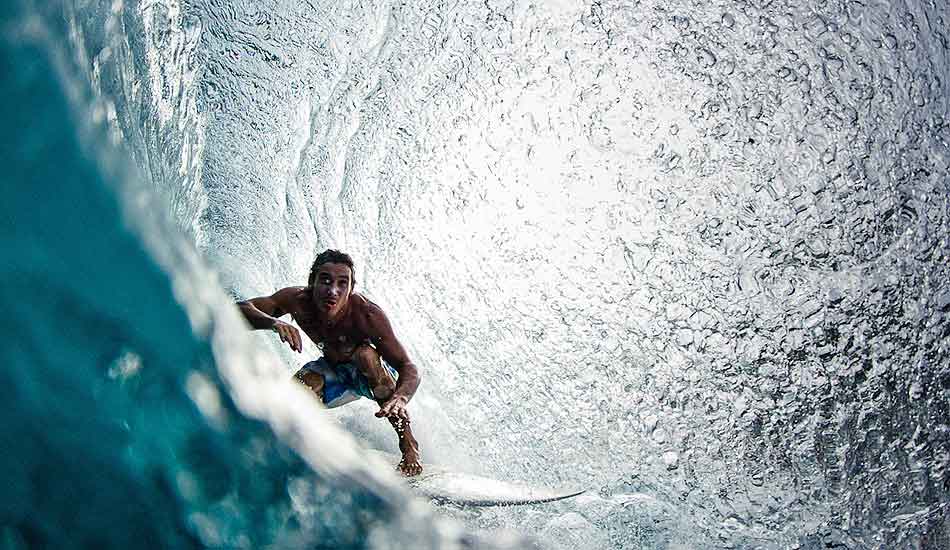 Crouched behind the curtain. Photo: <a href=\"https://johnbarton.net.au/\">John Barton</a>