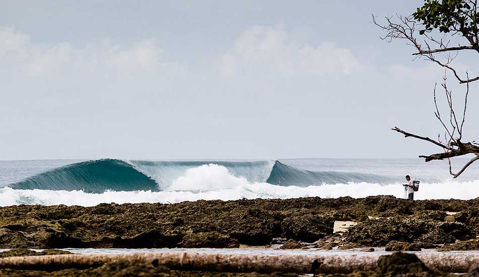 Makes you want to go catch a few. Photo: <a href=\"https://johnbarton.net.au/\">John Barton</a>