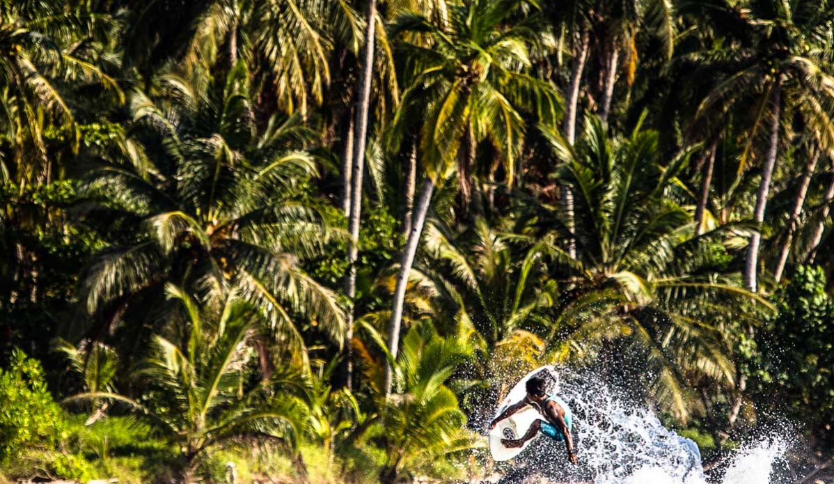Local shredder Andi putting it up there in front of a tropical wallpaper. Photo: <a href=\"https://johnbarton.net.au/\">John Barton</a>