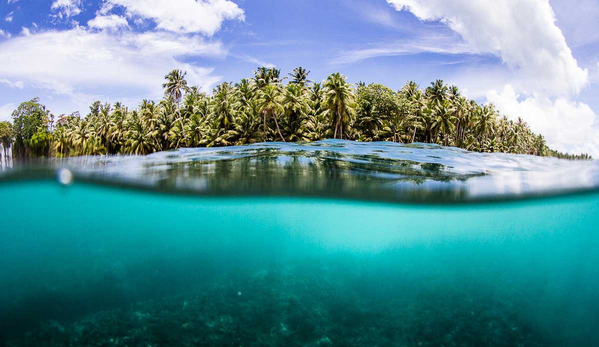 Burger World showing off its tasty layers. Photo: <a href=\"https://johnbarton.net.au/\">John Barton</a>