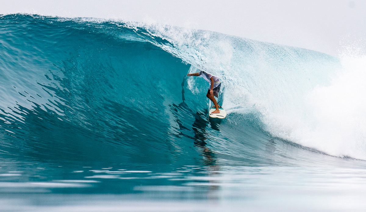 Dave Matthew surrounded by perfection. Photo: <a href=\"https://johnbarton.net.au/\">John Barton</a>