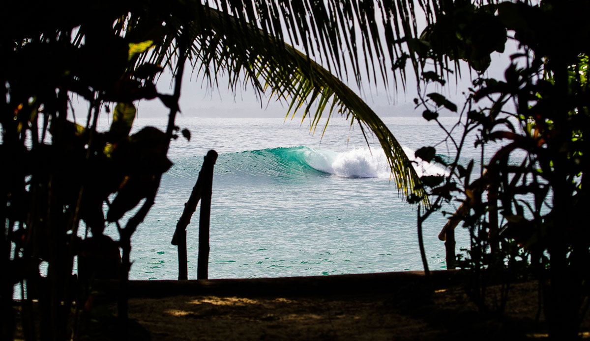 Pitstops. Not a bad way to go to work when the walk down your driveway looks like this. Photo: <a href=\"https://johnbarton.net.au/\">John Barton</a>