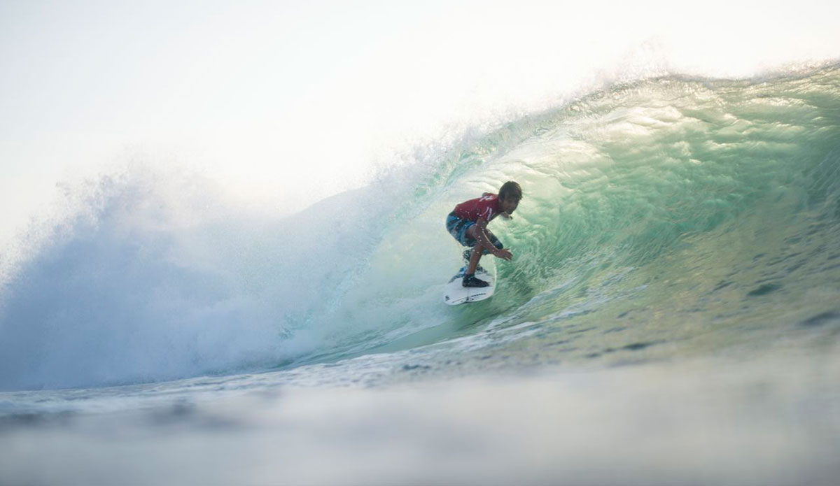 Hiding in the green. Photo: <a href=\"https://instagram.com/johnwatermanlaw\"> John Waterman Law</a>