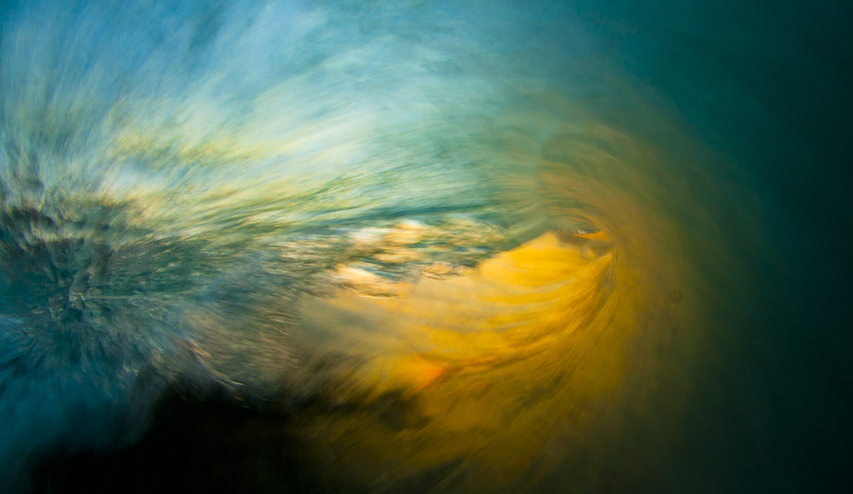 Emerald. Photo: <a href=\"https://www.LucarelliPhoto.com/\"> John Lucarelli</a>