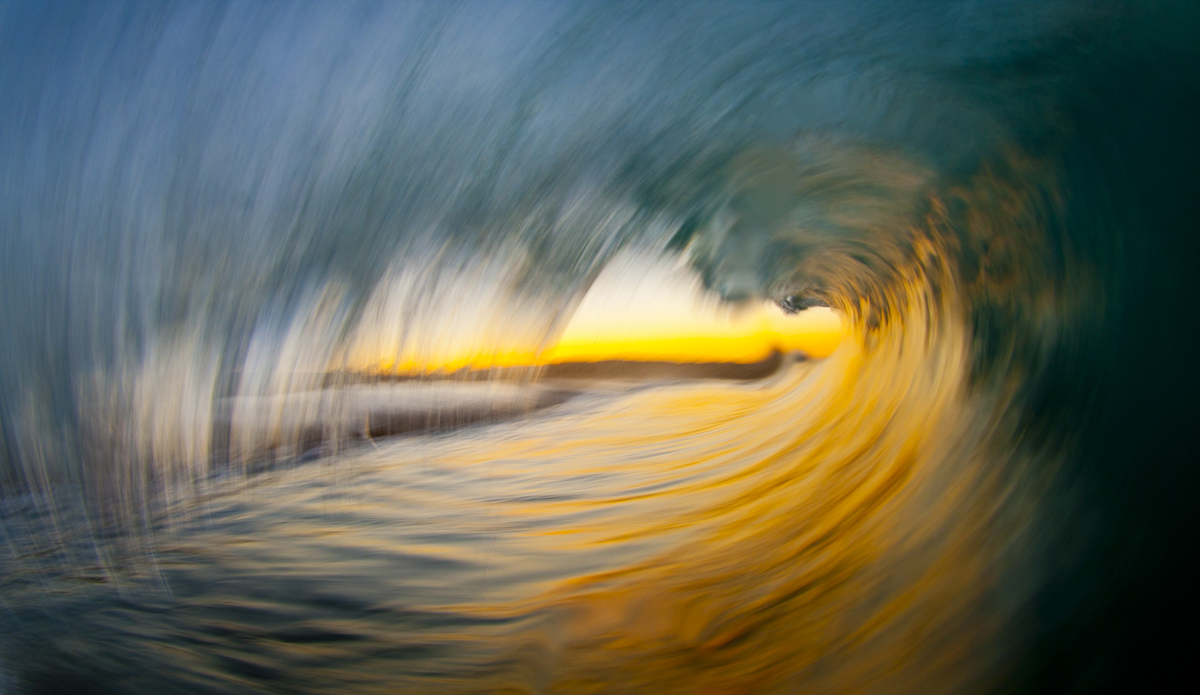 Morning Gold. Photo: <a href=\"https://www.LucarelliPhoto.com/\"> John Lucarelli</a>