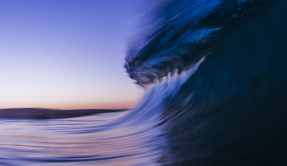 Purple Haze. Photo: <a href=\"https://www.LucarelliPhoto.com/\"> John Lucarelli</a>