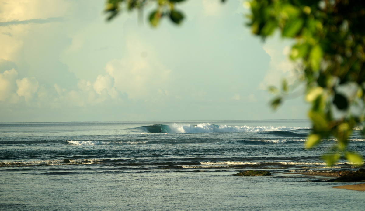 Don shacked. Photo: <a href=\"https://lynchfilm.com\">LynchFilm.com</a>