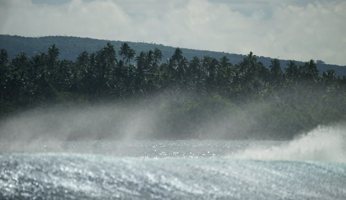 Island vibes spray. Photo: <a href=\"https://lynchfilm.com\">LynchFilm.com</a>