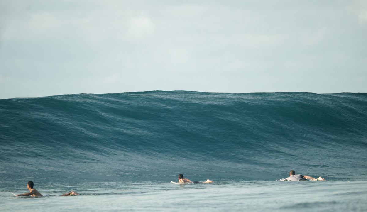 Yes, please. Photo: <a href=\"https://lynchfilm.com\">LynchFilm.com</a>